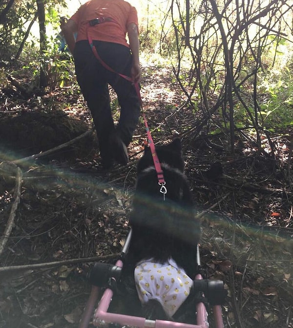 «Когда мы думаем, что видели все в этой жизни, я понимаю, что мы никогда не видели достаточно», - сказала Райсса (женщина которая спасла Майю)