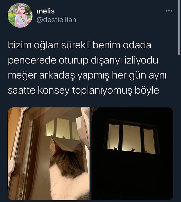 10. Telepati yöntemiyle konuşuyor olmalılar. :)
