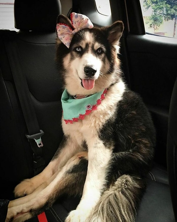 С 28 августа 2016 года Майя прошла долгий путь, и спустя почти 5 лет она преобразилась до неузнаваемости.