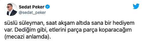 Sedat Peker: 'Kardeşim Adli Kontrol Şartıyla Serbest Bırakılmıştır'