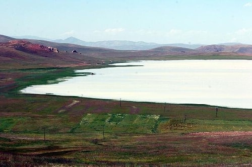 Van’ın Kuş Cenneti Tamamen Kurudu