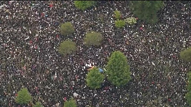 4. "İlk başta bunların küçük çalılar olduğunu düşünmüştüm ama 2020'deki Boston Protestosu'ndan bir fotoğrafmış."