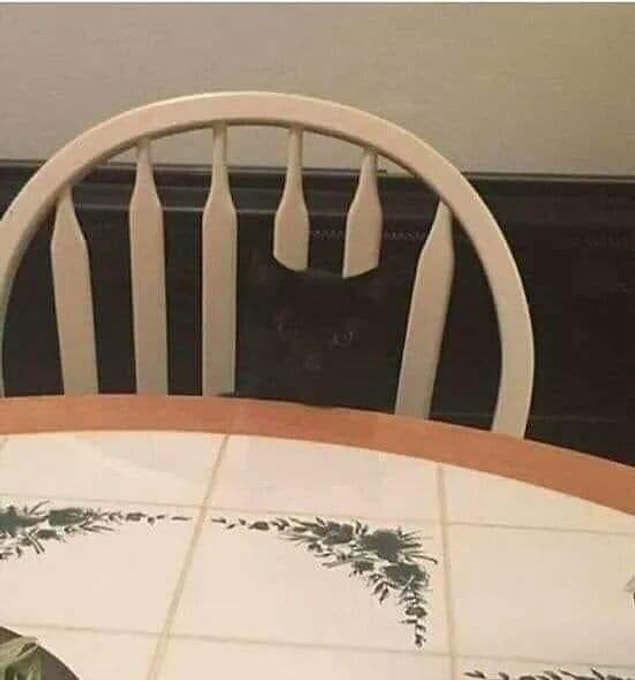 9. Bu sandalye kırık değil sadece bir misafiri var.