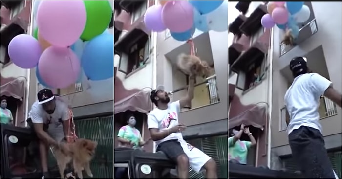 Bu Kadar da Olmaz! Köpeğini Helyum Balonlarıyla Uçurmaya Çalışan Hindistanlı YouTuber