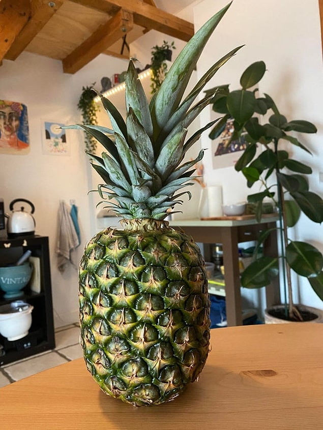 7. "Sevgilim seviyor diye ananas aldım. Burada olması gereken zamandan 20 dk önce gelemeyeceğini söyledi. Ananasa alerjim var."