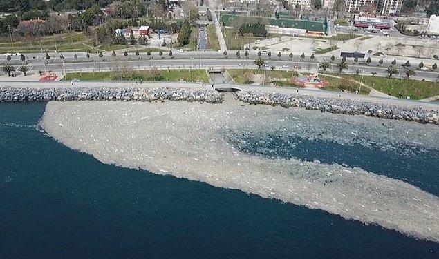 Marmara Denizi'nde ilk kez 2007 yılında görülen müsilajın bugün geldiği seviye korkutucu bir boyuta ulaştı.