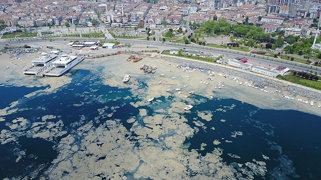 Ölüyor ve Kimse Duymuyor! İlk Defa 2007 Yılında Deniz Salyası Görülen Marmara  Denizi&#39;nin Son Hali Korkutuyor - onedio.com