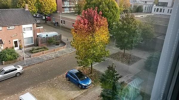 10. "Говорят, сейчас так модно"