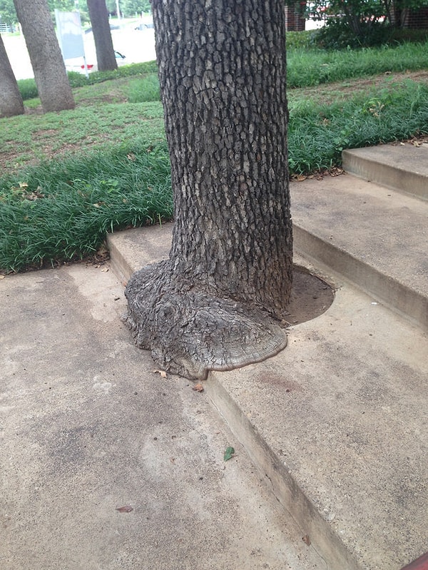 19. "Я выхожу из твердого тела, и теперь буду жидким"