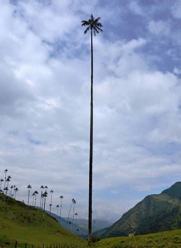 22. "Я вас всех ненавижу и видеть больше не хочууу..."