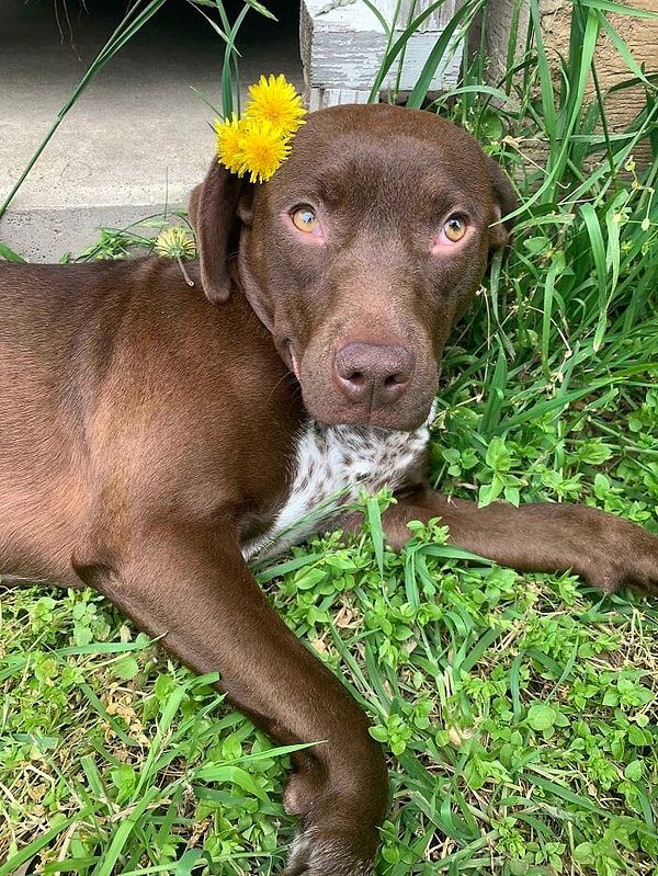 12. 1 неделя после того, как мы ее приютили