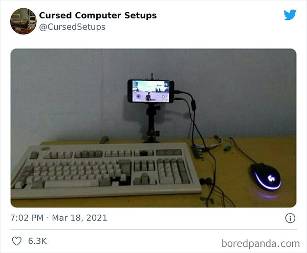 9. В - выживание