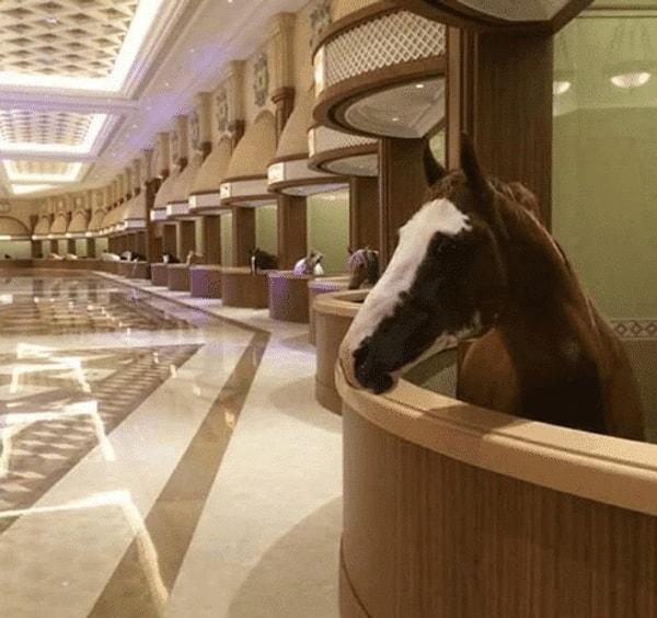2. Dubai'de atlar da oldukça lüks bir hayat sürüyorlar...