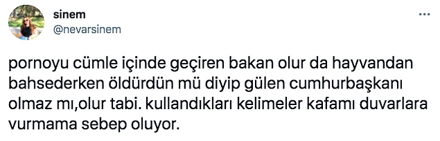 TRT Yayınında Hayvanını Kaybeden Gazeteciye 'Öldürdün mü?' Sorusunu Soran Erdoğan Tepki Topladı