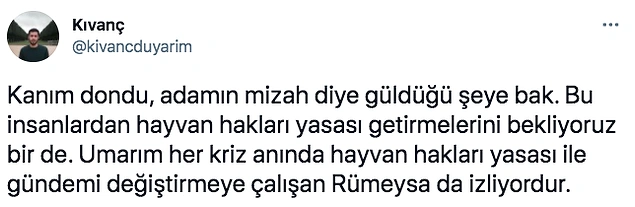 TRT Yayınında Hayvanını Kaybeden Gazeteciye 'Öldürdün mü?' Sorusunu Soran Erdoğan Tepki Topladı