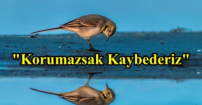 Çocuklarımız Risk Altında! Dünya Çevre Günü’nde Geleceğimiz İçin Harekete Geçelim