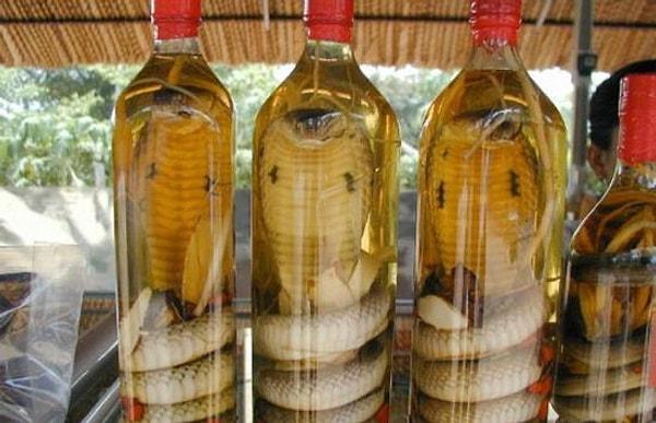 10. "Vietnam'da yılan şarabı diye bir alkol satılıyor. Şarap şişelerinin içine yılan koyuyorlar. İlk gördüğümde çok ürkünç gelmişti ama sağlık için çok faydalıymış."