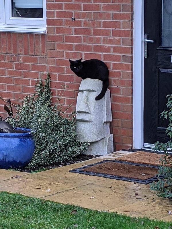 11. Кот делает эту статую похожей на Элвиса