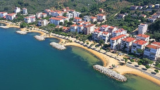 Emlakçıların Karşılaştığı Yeni Soru: 'Alo Müsilaj Var mı?'