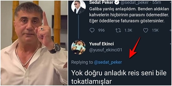 Sedat Peker'in Tweetlerine Yarınlar Yokmuşçasına Yorum Yaparak Kahkaha Attıranlardan Seçmeler