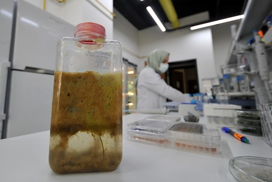 Prof. Dr. Yılmaz: Marmara Denizi'nden Toplanan Müsilaja Talibiz