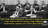 Her Ne Yapıyorsanız Bırakıp Tanık Olmanız Gereken Birbirinden Absürt Olaylar