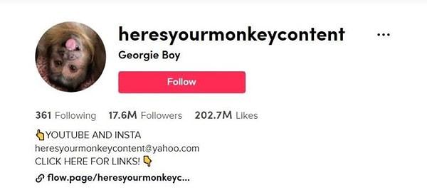 12 yaşındaki George, yayınladığı videolarla milyonlarca takipçiye ulaşmıştı
