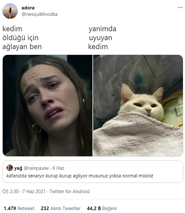 5. "Ne oluyor ya, sesinden uyuyamadım bi türlü."