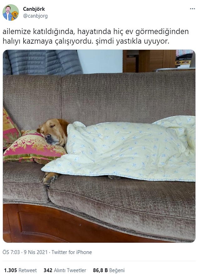 10. Rüyasında pirzola görüyor herhalde.