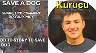 Kandırıldık! Instagram'dan Köpeklere Bağış Yaptığını Düşünen İnsanların Hayalleriyle Oynayan Hesaba Bakın