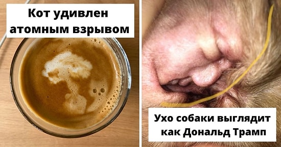 15 безумных случаев, когда люди пережили серьезный эффект парейдолии и задокументировали его