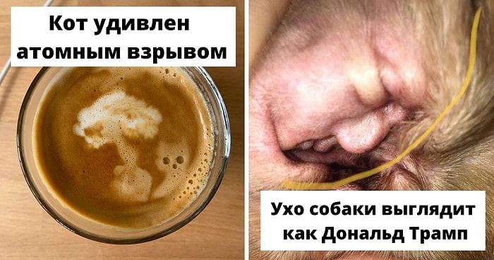 15 безумных случаев, когда люди пережили серьезный эффект парейдолии и задокументировали его