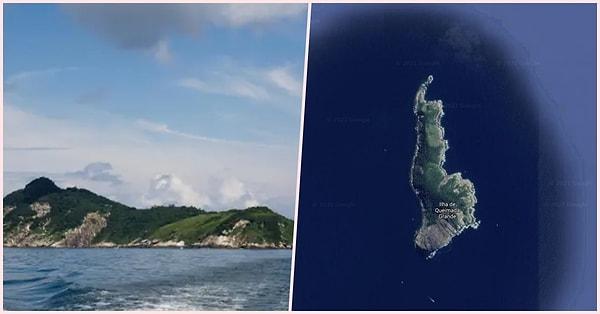 4. Yılan Adası olarak da bilinen Ilha da Queimada Grande'yi ziyaret etmek yasak zaten giderseniz de muhtemelen ölürsünüz.