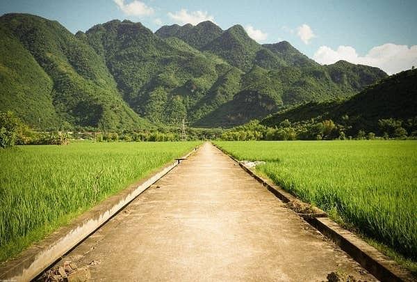 26. "Vietnam'daki Mai Châu Köyü'nde bulunan pirinç tarlalarında kayboldum."