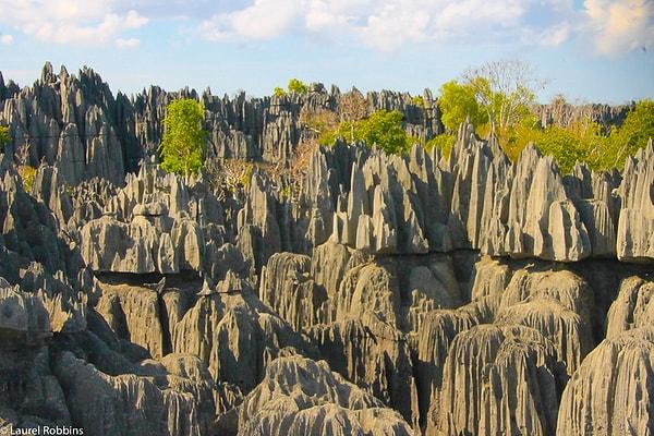 15. Madagaskar'da Dünya Mirasları Listesi'ne girmiş 3 yer bulunur.