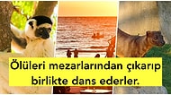 Dünyanın En İlginç Yerlerinden Biri Olan Madagaskar Hakkında Bilmeniz Gereken 28 Şaşırtıcı Bilgi