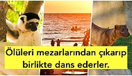 Dünyanın En İlginç Yerlerinden Biri Olan Madagaskar Hakkında Bilmeniz Gereken 28 Şaşırtıcı Bilgi