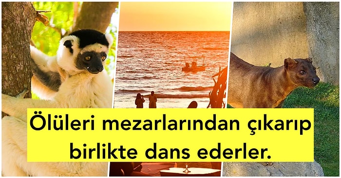 Dünyanın En İlginç Yerlerinden Biri Olan Madagaskar Hakkında Bilmeniz Gereken 28 Şaşırtıcı Bilgi