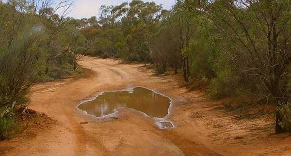20. "Avusturalya'daki Avusturalya şeklindeki su birikintisi."