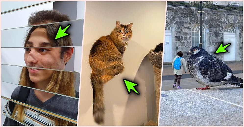 Her Baktığınızda 'Perspektif Etkisini' İliklerinize Kadar Hissedeceğiniz Bol Göz Yanılmalı 22 Fotoğraf