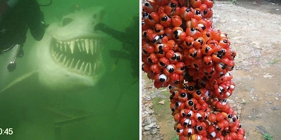 25 странно пугающих фото, которые вызывают мурашки по телу без всякой на то причины