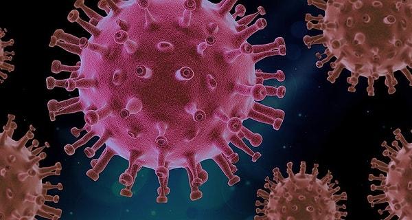15. Virüslere karşı bağışıklığınız azalıyor.