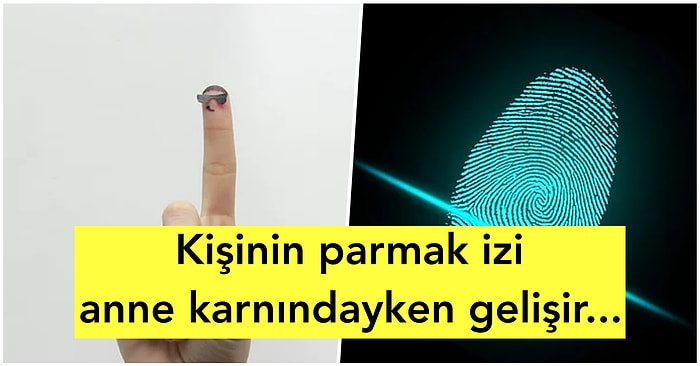 Parmak İzleri Neden Kişiye Özeldir?