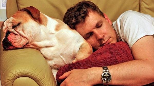 6. Evcil hayvanınızla uyumak zararlıdır.