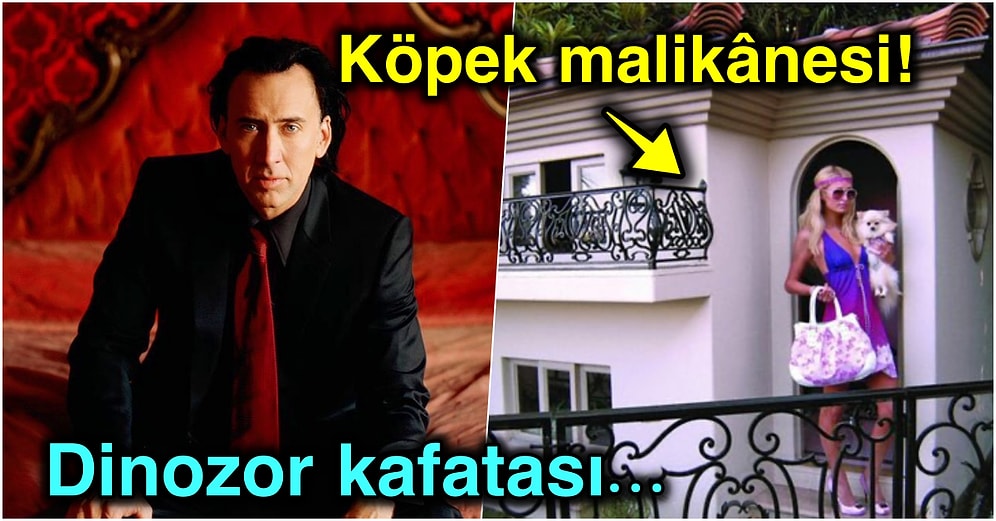 Zenginlerin Para Harcadıkları Akılalmaz Derecede Garip Şeyleri Duyunca Kulaklarınıza İnanamayacaksınız