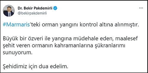 Marmaris'te Orman Yangını: Alevlerin Ortasında Kalan Bir Orman Personeli Can Verdi