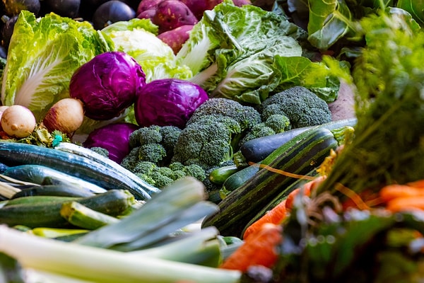 10. Sağlıklı kalabilmek için besin çeşitliliğinin olması çok önemlidir.