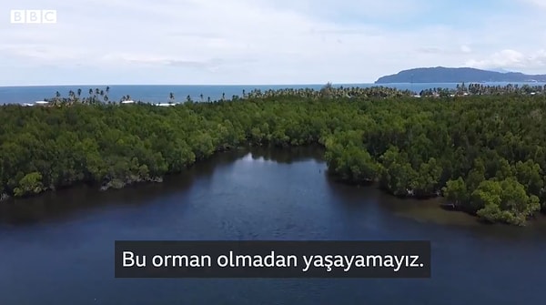 Meraudje, “Ne var ki bu orman artık tehlike altında. 50 yıl öncesine göre yarı yarıya küçülmüş durumda. BBC’nin görüntülerinde, orman içinde çok sayıda plastik atık görülüyor.