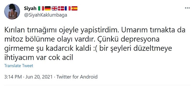 11. Mitoz bölünme ne alaka?