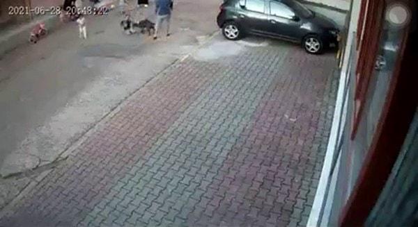 Bir vatandaş, küçük çocukların oynadığı bir sokak üzerinde pitbull cinsi köpeğini gezdirmeye başladı.